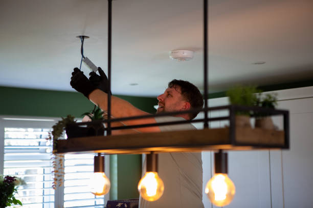 Best Electric Panel Repair  in Lake Park, IA